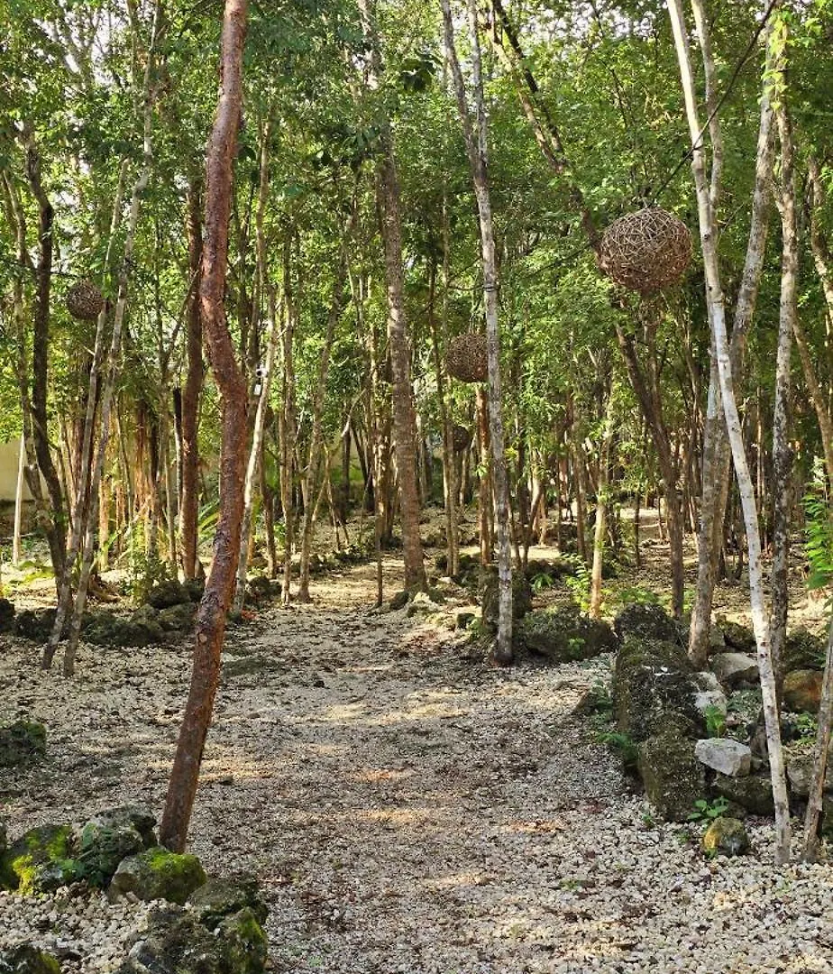Hotel Kin Tulum II
