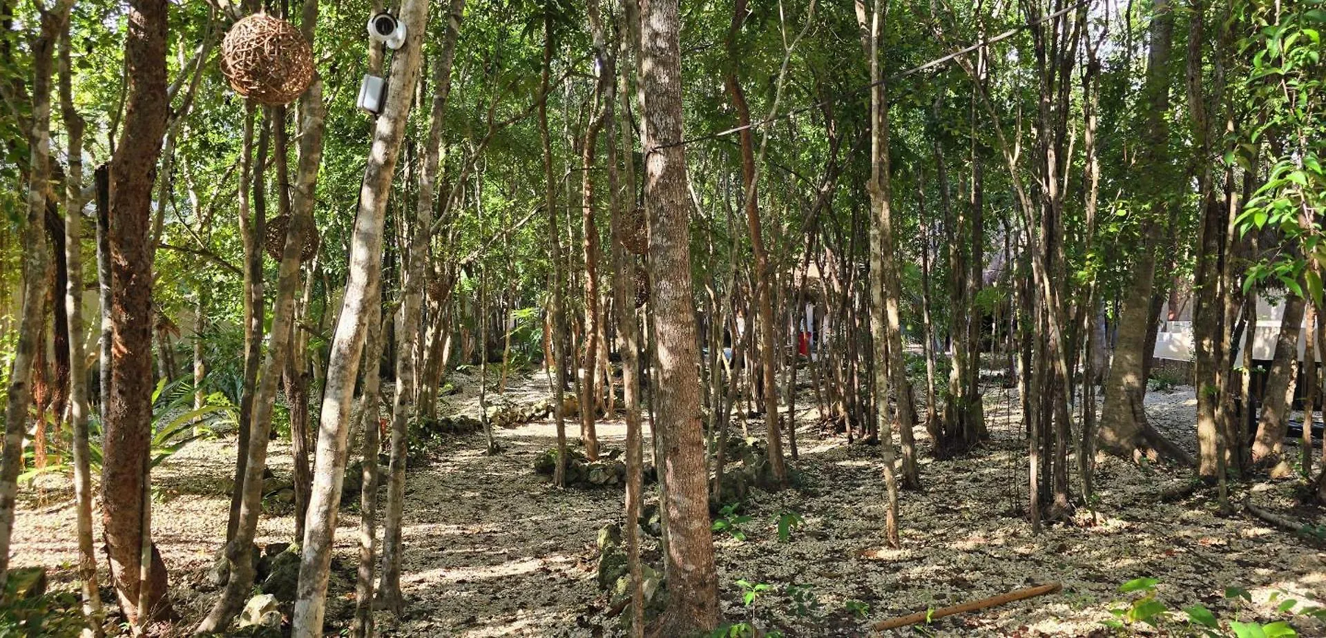 게스트하우스 Hotel Kin Tulum II